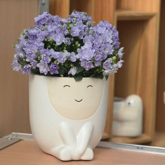 Cute Happy Planter- 4" tall
