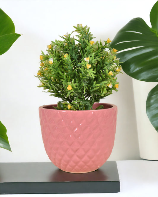 Pink Ceramic Planter- 5" tall