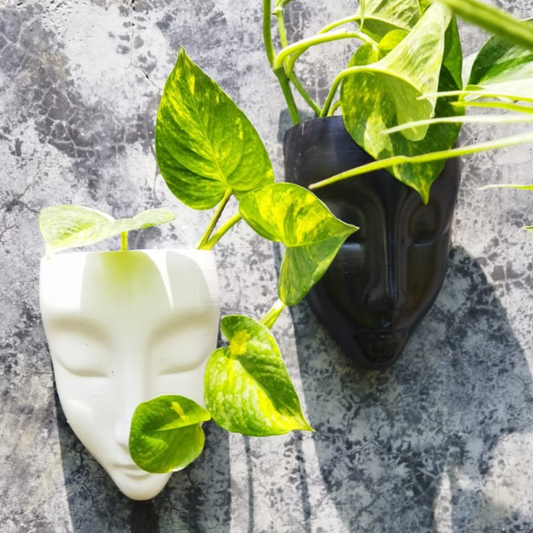 Wall Face Planters Set of 2