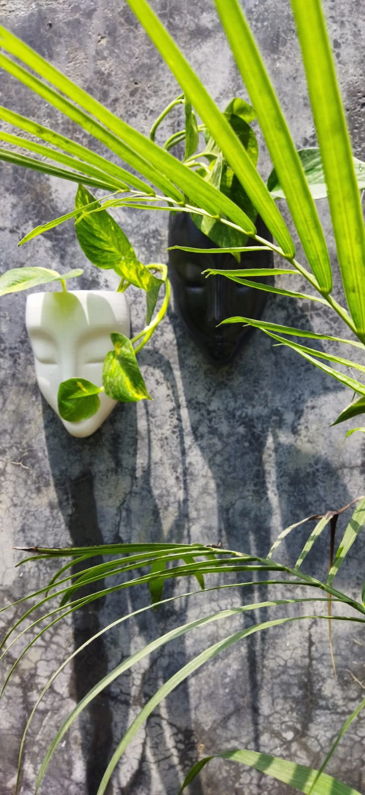 Wall Face Planters Set of 2
